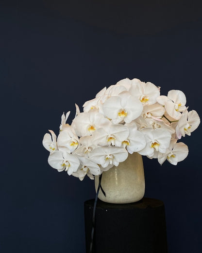 Orchids en Masse