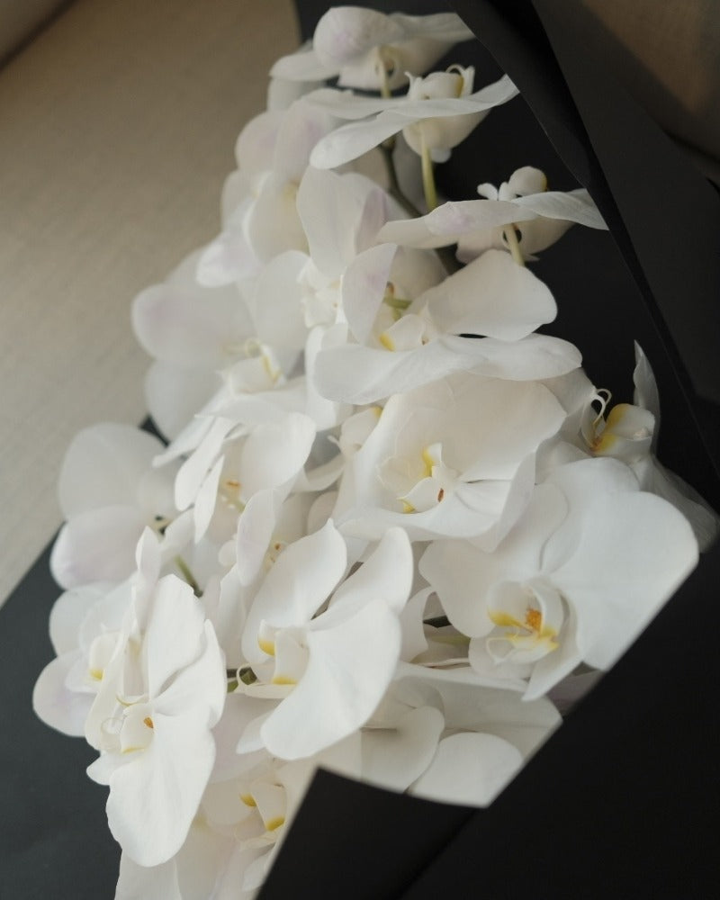 Orchids en Masse